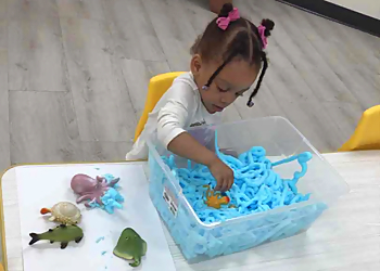 The Learning Experience Coral Springs - Coral Springs, FL Preschools - Kids Activity Image