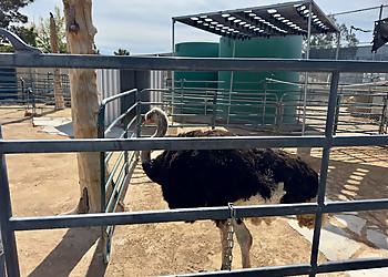 Henderson Places To See The Lion Habitat Ranch