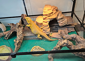 Lexington Landmarks The Living Arts & Science Center