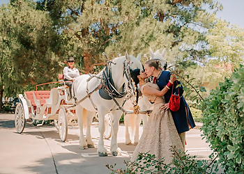 The Marigold Company - Irvine, CA Wedding Planners - Business Presentation Image