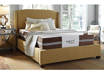 Detroit Mattress Stores The Mattress Wholesaler