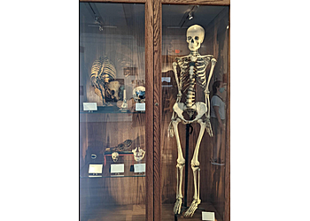 Philadelphia Museums The Mütter Museum of The College of Physicians of Philadelphia