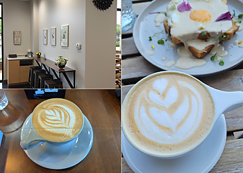 Frisco Cafe The Nest Cafe