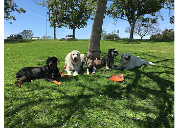 The Noble Dogs San Diego Dog Training