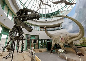 Raleigh Places To See The North Carolina Museum of Natural Sciences