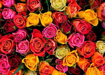 Baton Rouge Florists The Original Heroman's Florist