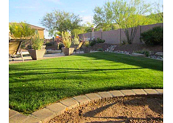 Tempe Lawn Care Services The PLUGman Lawn Aeration and Landscape