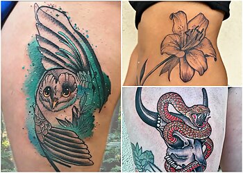 Tucson Tattoo Shops The Painted Lady Tattoo