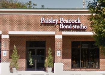 The Paisley Peacock Floral Studio