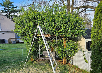 Paterson Landscaping Companies The Palacios B Landscaping LLC