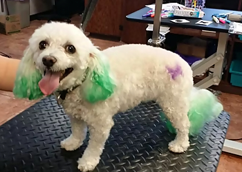 Palmdale Pet Grooming The Pampered Pooch