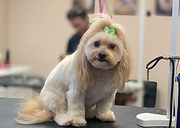 Palmdale Pet Grooming The Pampered Pooch
