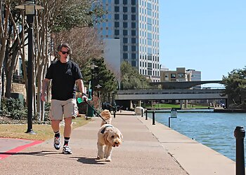 Irving Dog Walkers The Paw Bud