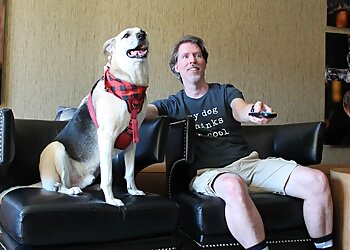 Irving Dog Walkers The Paw Bud