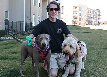 The Paw Bud Irving Dog Walkers image 1