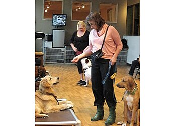 Boston Dog Training The Pawsitive Dog