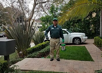 El Monte Pest Control Companies The Pest Professionals