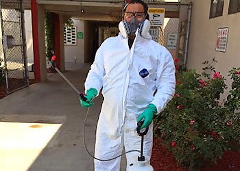 El Monte Pest Control Companies The Pest Professionals