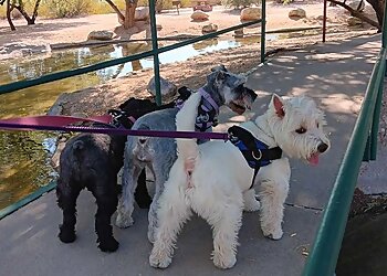 Tucson Dog Walkers The Pet Nanny In-Home Pet Sitters, LLC