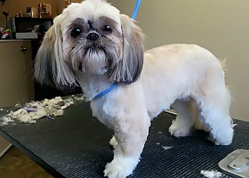 The Pet Parlor & Unique Boutique - Reno, NV Pet Grooming - Service Highlights