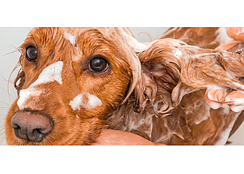 Olathe Pet Grooming The Pet Ranch