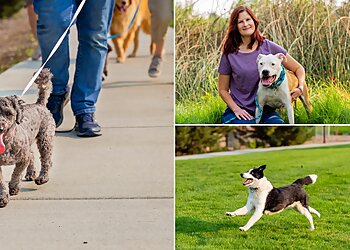 Boise City Dog Walkers The Pet Sitter of Boise, LLC