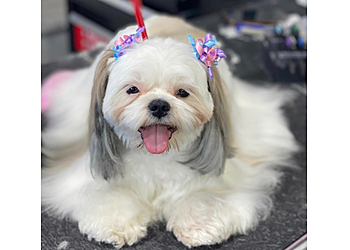 Elk Grove Pet Grooming The Pet Spa At Laguna