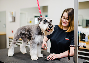 Louisville Pet Grooming The Pet Station Country Club