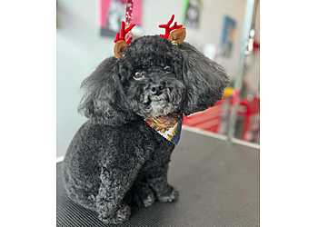 The Pet Stop Killeen Pet Grooming image 1