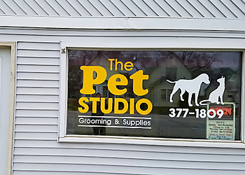 The Pet Studio Cedar Rapids Pet Grooming image 1