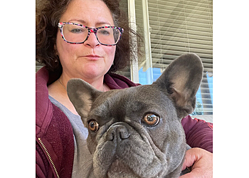 Stockton Dog Walkers The Pet Yogi