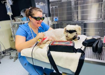 The Pets Place Animal Hospital - Riverside, CA Veterinary Clinics - Healthcare Facility Image
