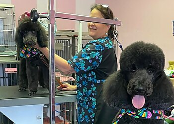 Allentown Pet Grooming The Pink Poodle