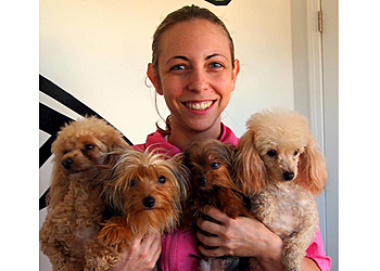 The Pink Poodle Tallahassee Pet Grooming image 1