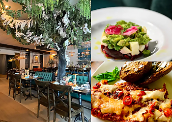 The Plantry Cafe - Baton Rouge, LA Vegetarian Restaurants - Food Image