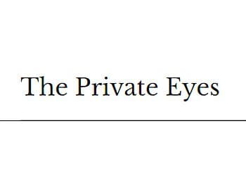 The Private Eyes Little Rock Private Investigation Service
