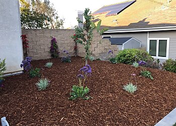 Oxnard Landscaping Companies The Promised Landscape Inc.