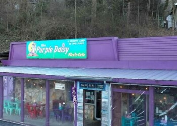 Chattanooga Barbecue Restaurants The Purple Daisy Picnic Cafe
