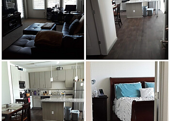 St Petersburg Commercial Cleaning Services The Queen of Cleaning Services LLC