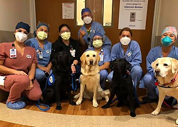 Honolulu Weight Loss Centers The Queen’s Health Systems