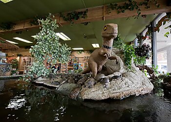 Huntington Beach Places To See The Reptile Zoo