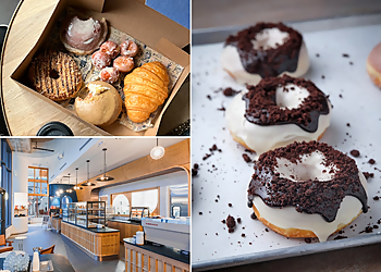 The Salty Donut - Charlotte, NC Donut Shops - collage image(highlights)