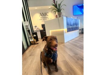 New York Veterinary Clinics The Schwarzman Animal Medical Center