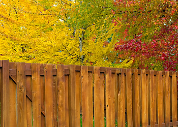 Scottsdale Fencing Contractors The Scottsdale Fence Company