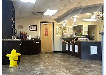 Scottsdale Veterinary Clinics The Scottsdale Veterinary Clinic