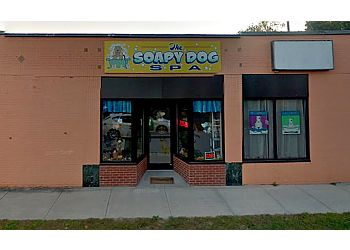 The Soapy Dog Spa Springfield Pet Grooming