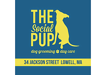 Lowell Pet Grooming The Social Pup