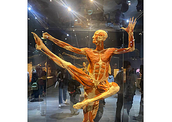 San Jose Museums The Tech Interactive