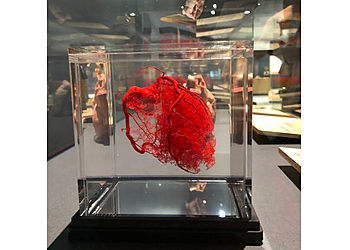 San Jose Museums The Tech Interactive