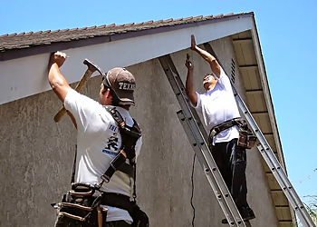 The Termite Guy - Santa Ana, CA Pest Control Companies - Service Image
